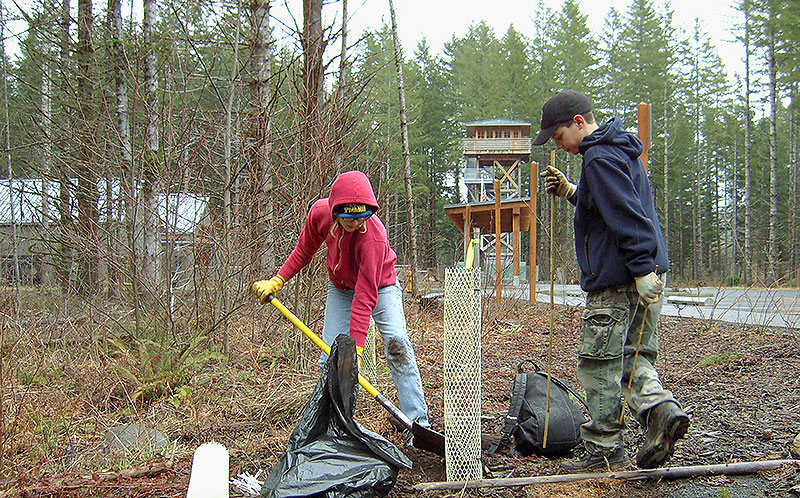 Kids replant trees at the Tillamook Forest Center